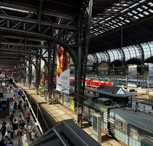 creative online hub platform identifier