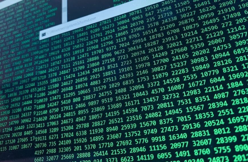 Pro Online Network 8558254275 Digital