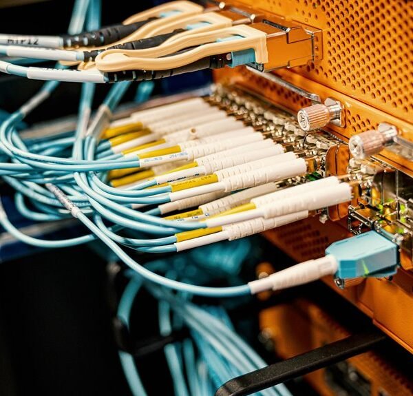 professional web hub network director