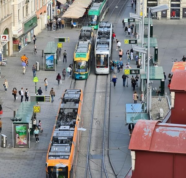 smart online platform id